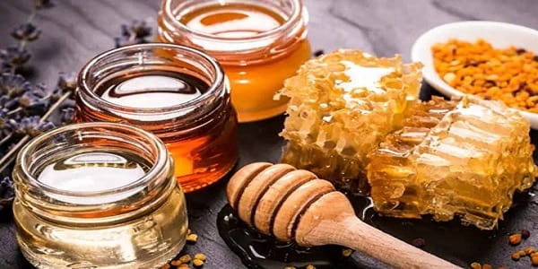 تصویر 1 از فروش عسل بوقناق هاکان + قیمت خرید به صرفه